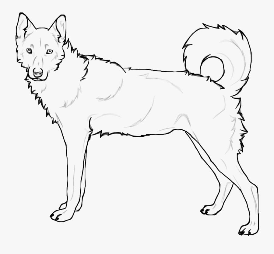 Standing Siberian Husky Coloring Game Standing Siberian Husky