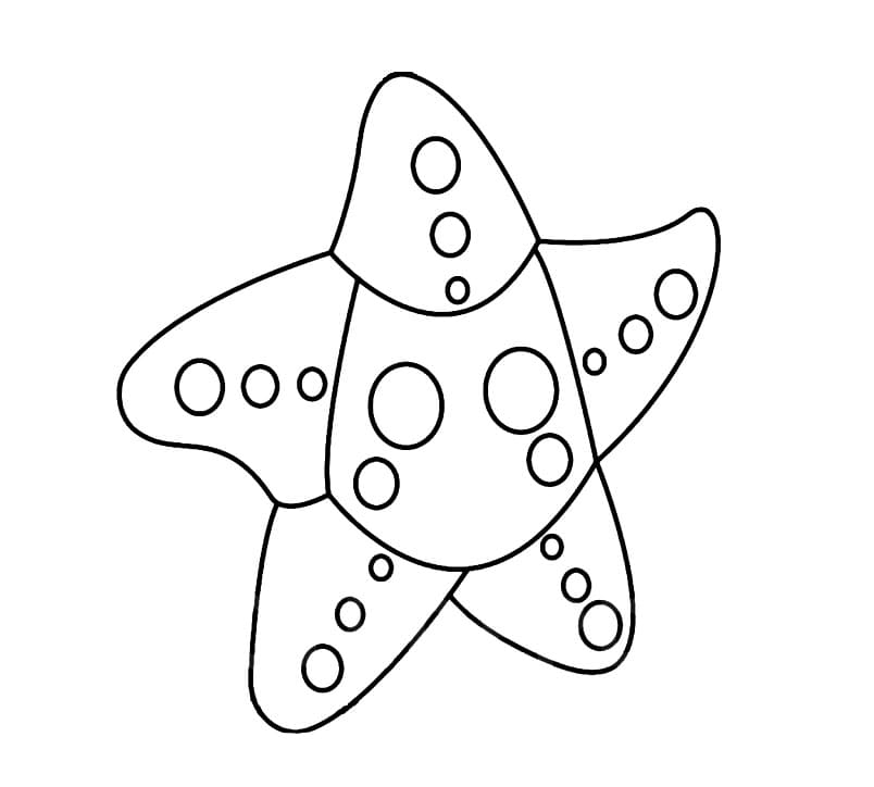 Starfish Adopt Me