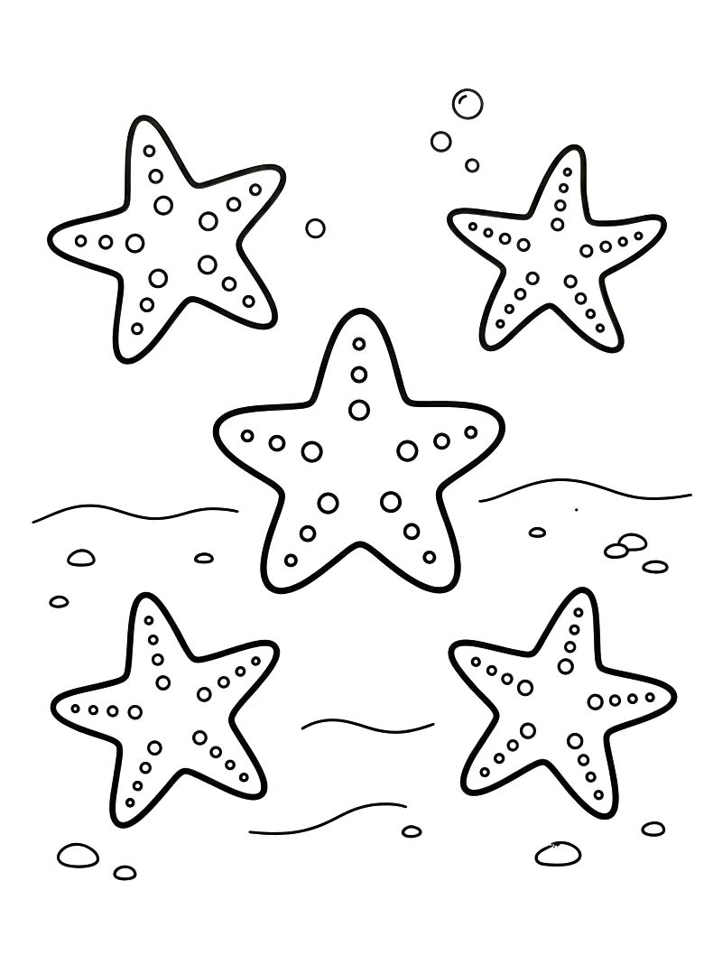 Starfish Basic