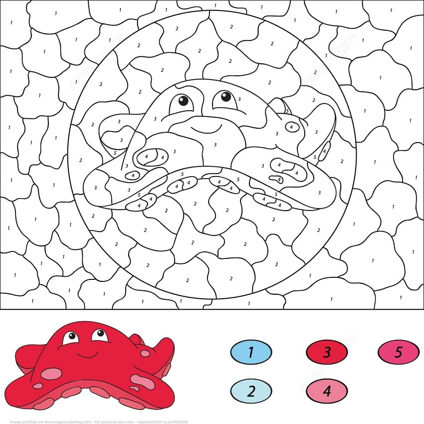 Starfish Color by Number