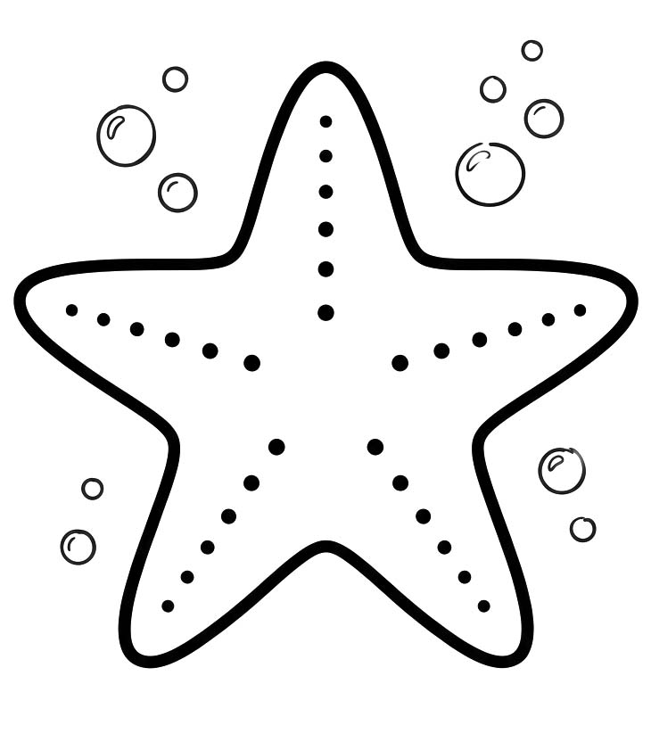 Starfish Easy