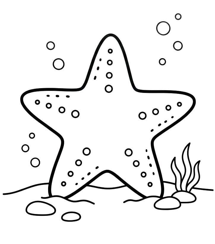 Starfish Printable