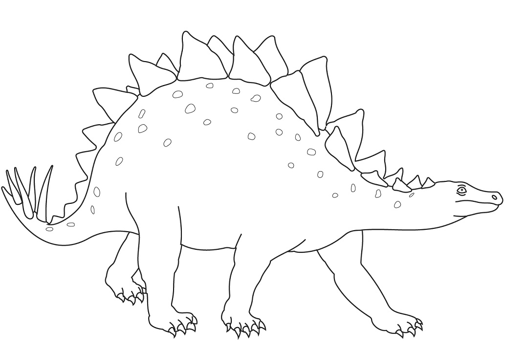 Stegosaurus Dinosaur