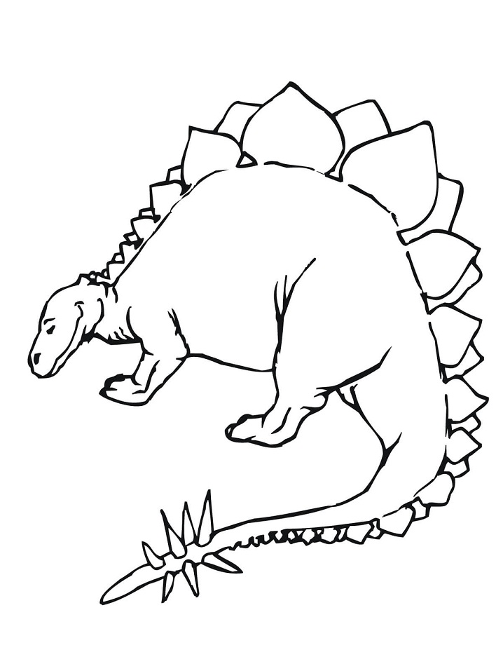 Stegosaurus Jurassic Dinosaur