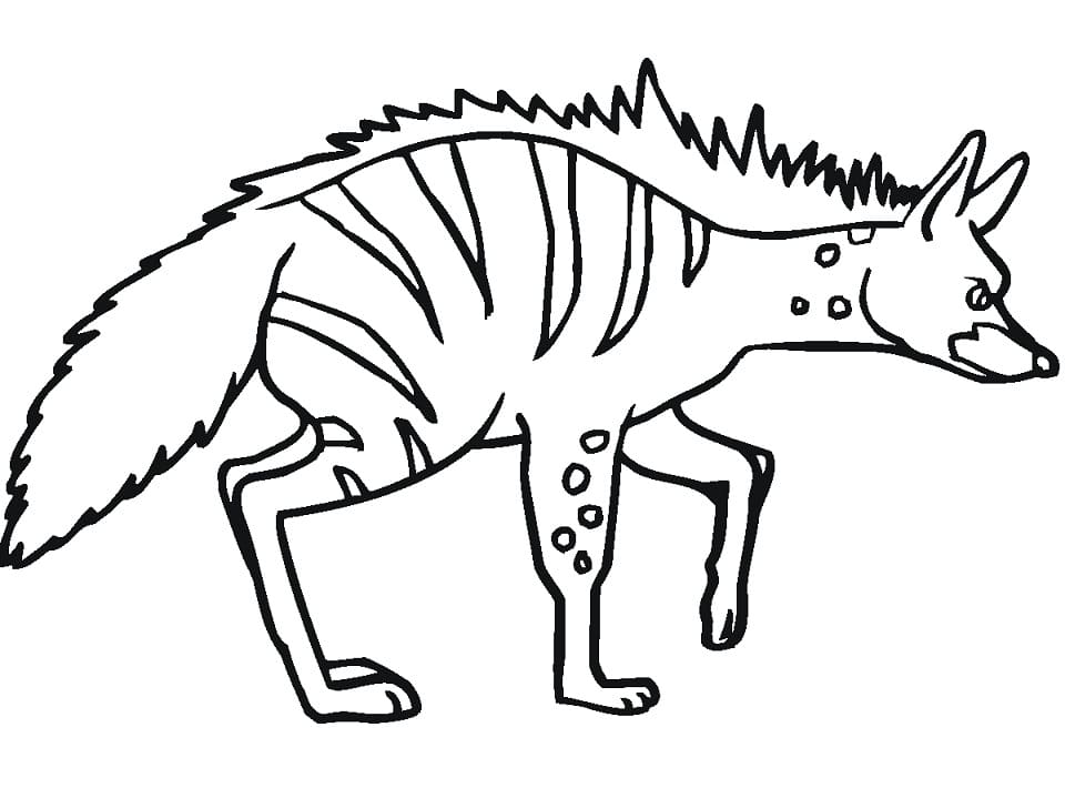 Striped Hyena 1 Coloring Game Striped Hyena 1