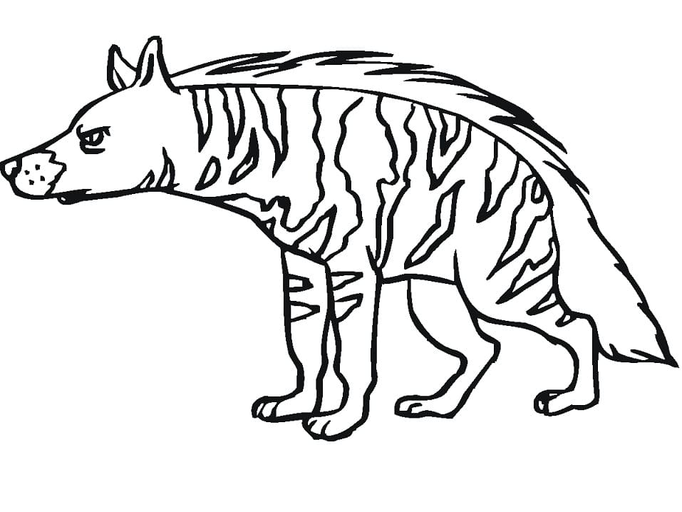 Striped Hyena 4 Coloring Game Striped Hyena 4