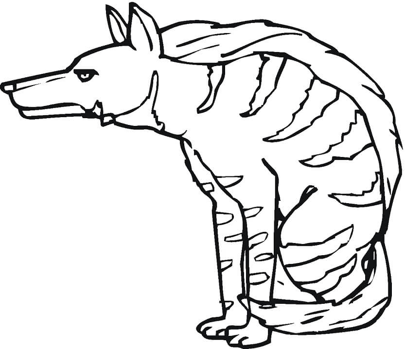 Striped Hyena Coloring Game Striped Hyena