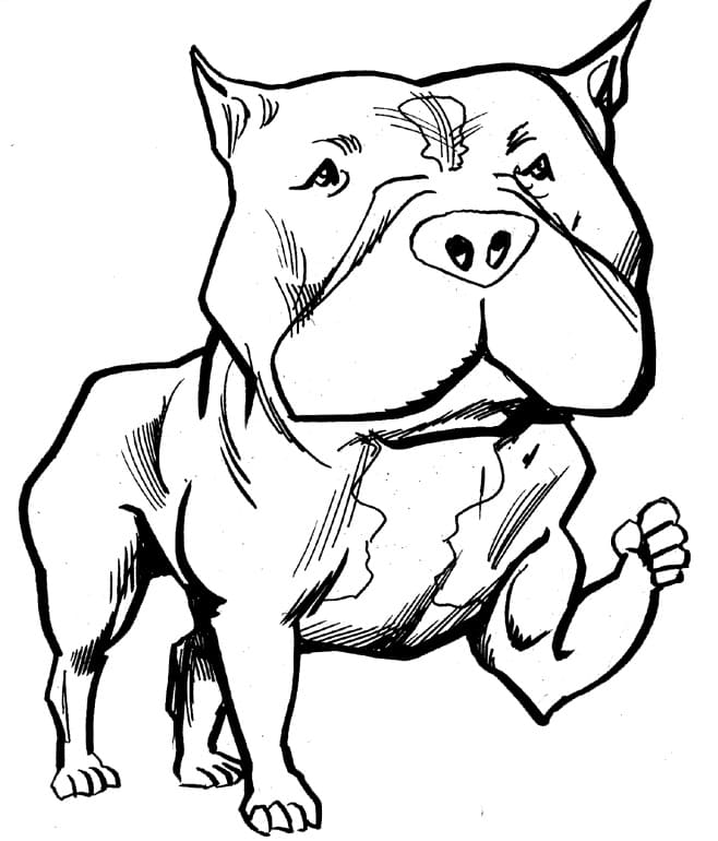 Strong Pitbull Coloring Game Strong Pitbull