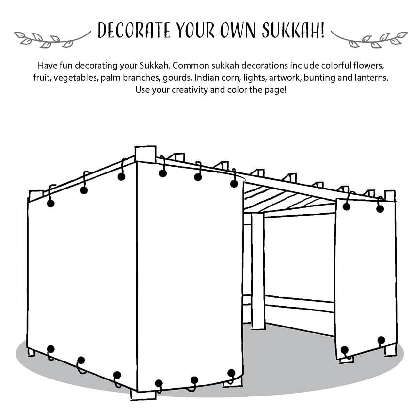 Sukkot 3