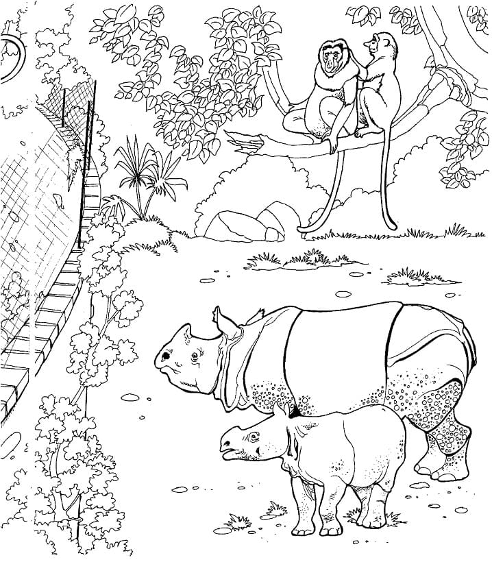 Sumatran Rhinos in Zoo Coloring Game Sumatran Rhinos in Zoo