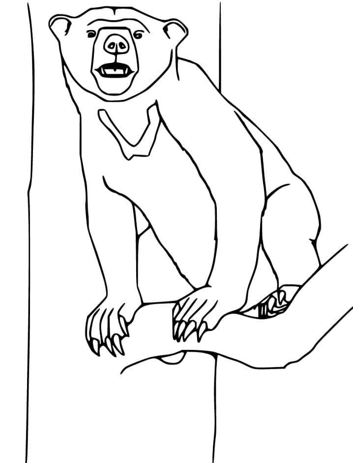 Sun Bear on a Tree Coloring Game Sun Bear on a Tree