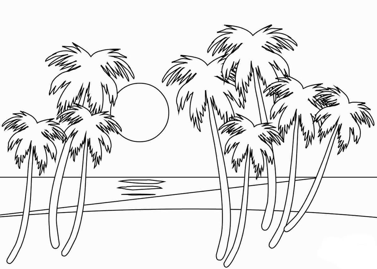 Sunset and Palm Tree Coloring Game Sunset and Palm Tree