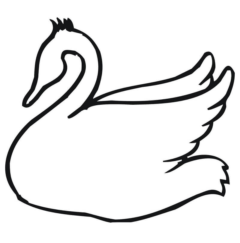 Swan Outline Coloring Game Swan Outline