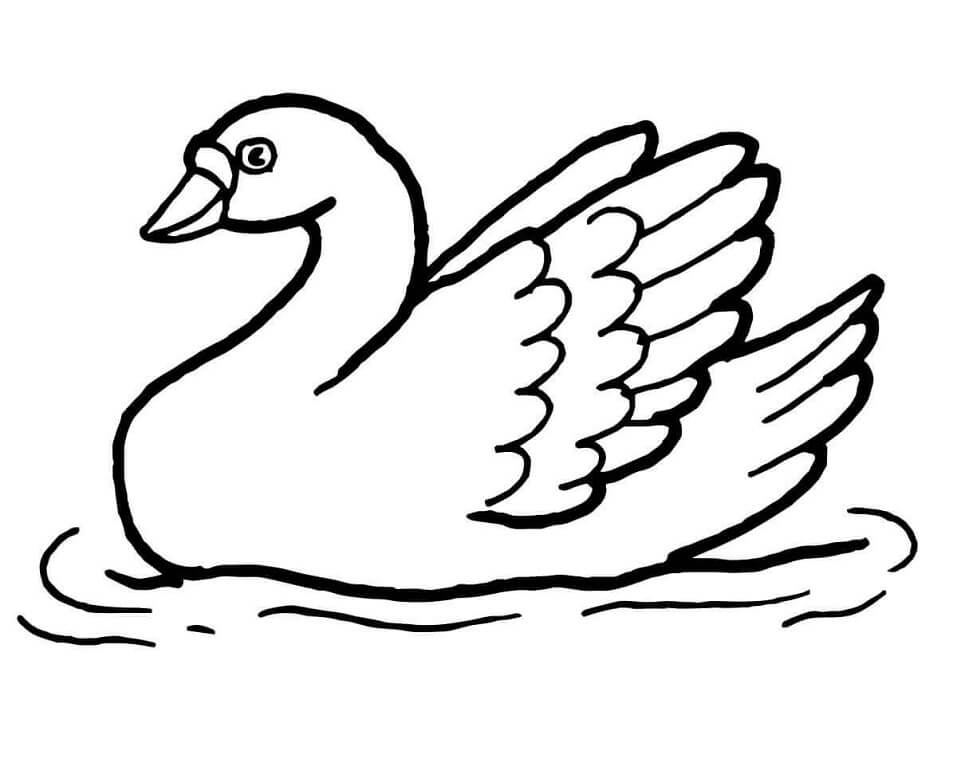Swan in the Water Coloring Game Swan in the Water