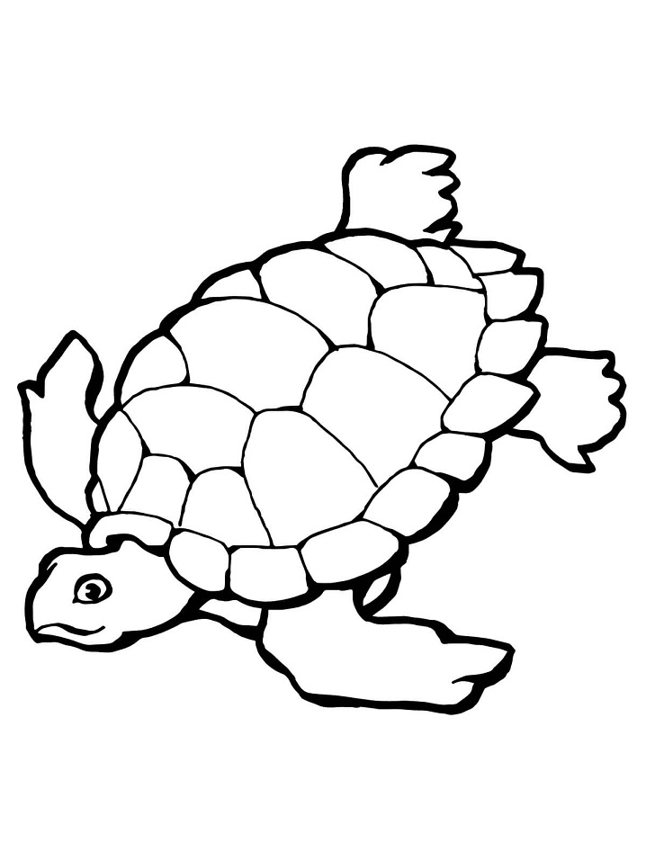 Swimming Sea Turtle Coloring Game Swimming Sea Turtle