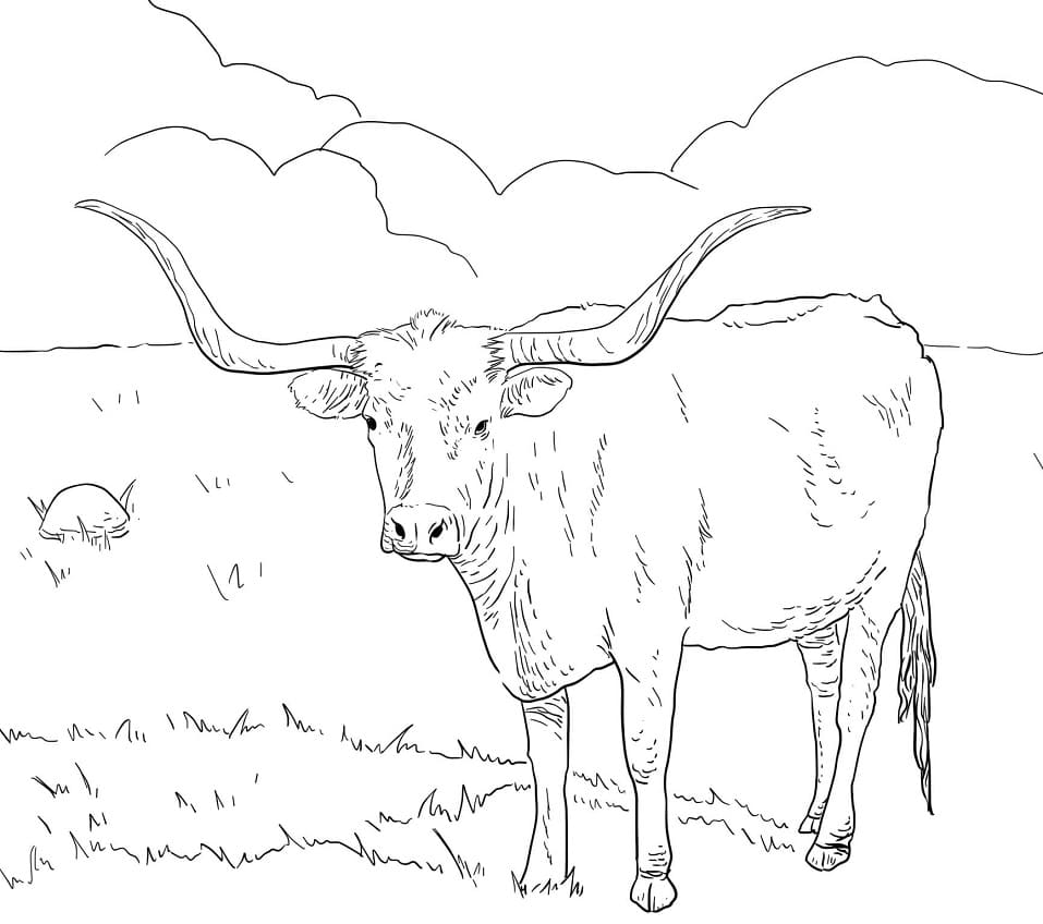 Texas Longhorn Cow Coloring Game Texas Longhorn Cow