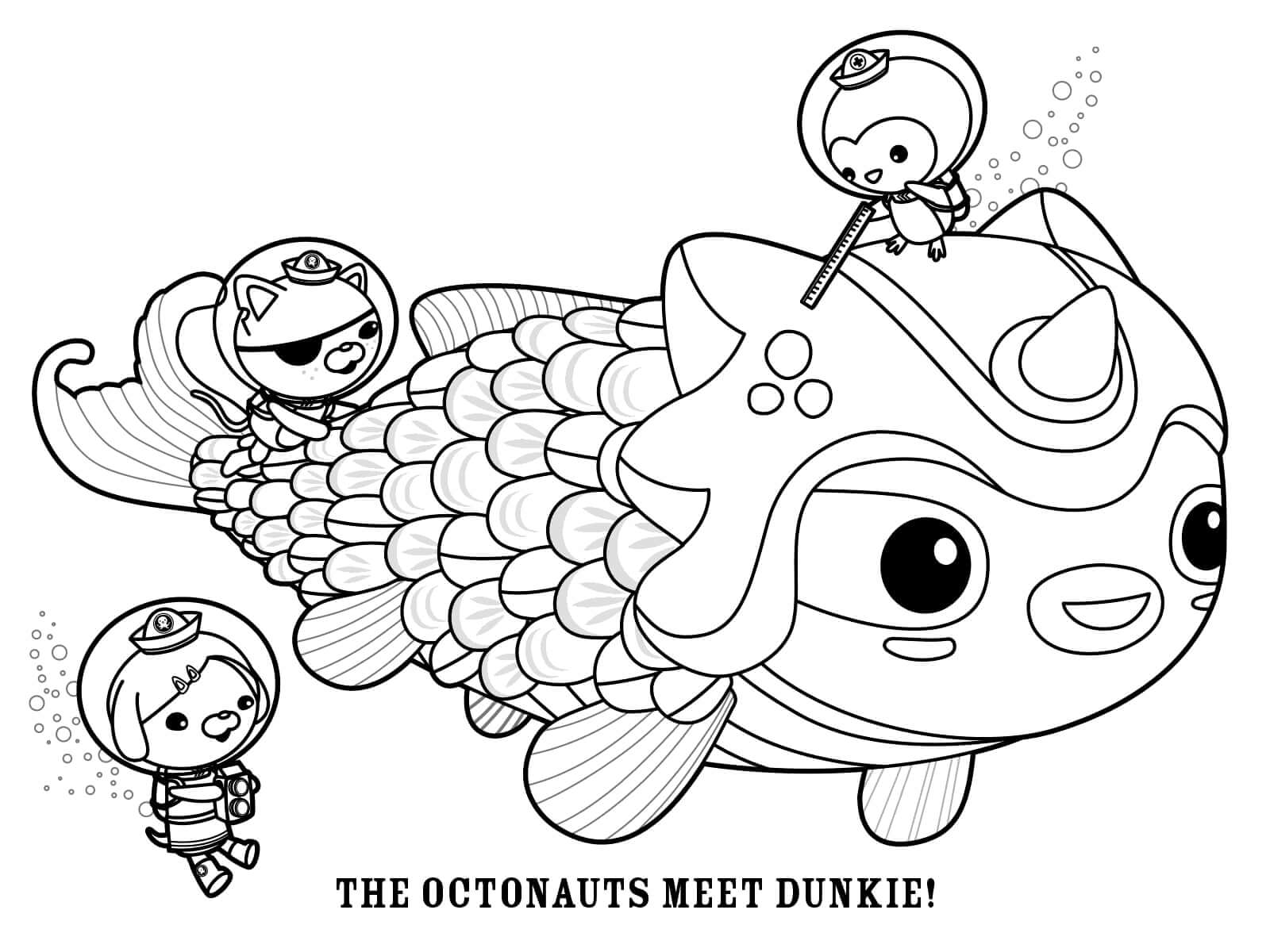 The Octonauts Meet Dunkie Coloring Game The Octonauts Meet Dunkie