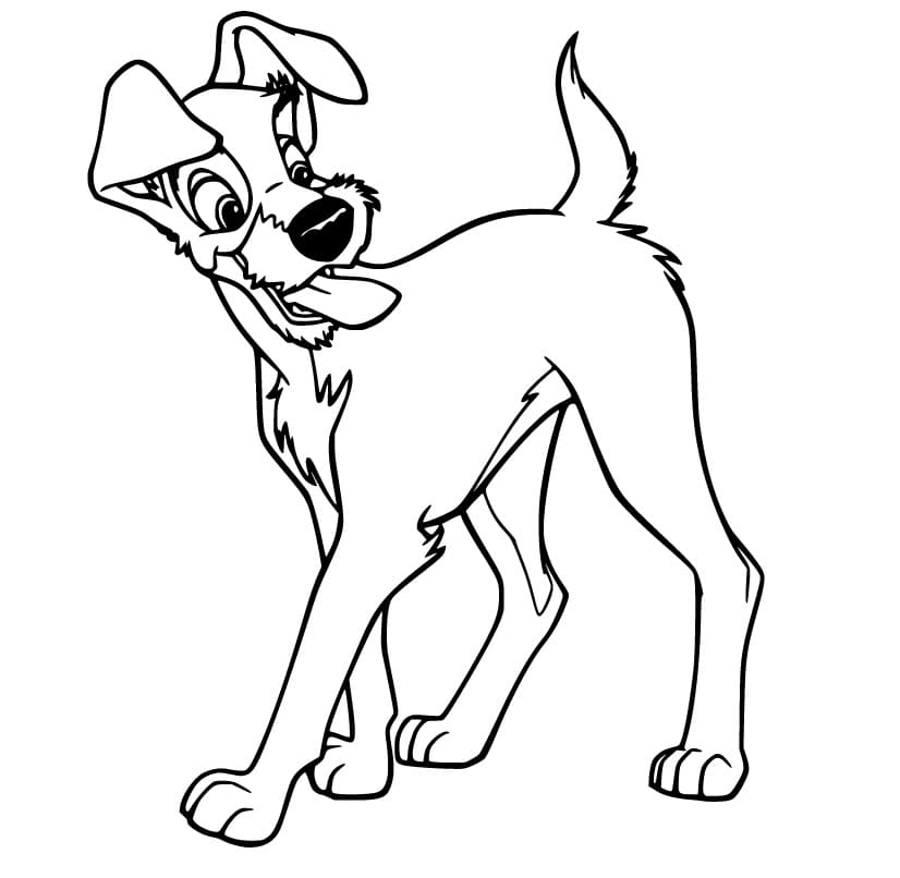 The Tramp is Smiling