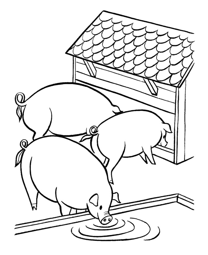 Three Fat Pigs Coloring Game Three Fat Pigs