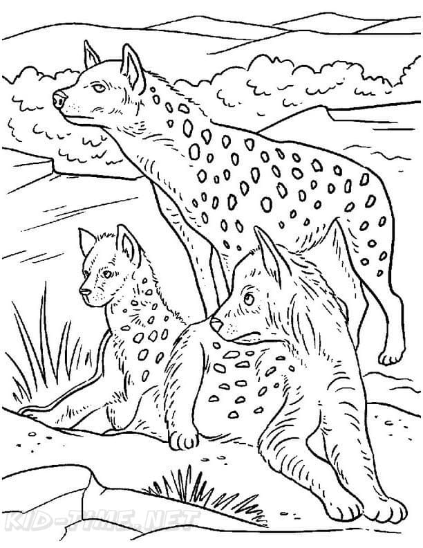 Three Hyenas Coloring Game Three Hyenas