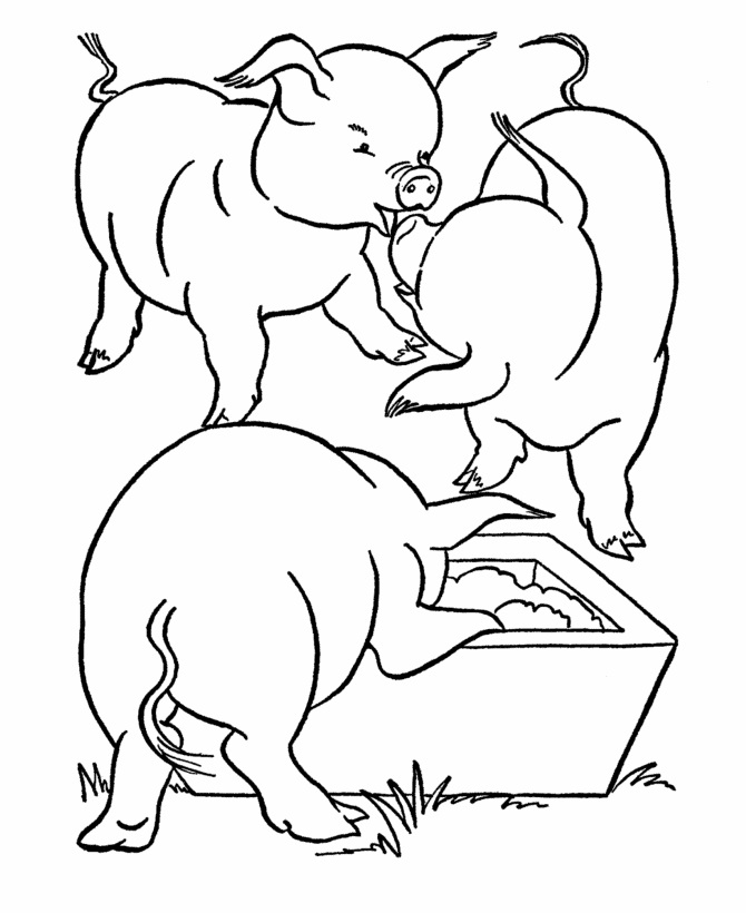 Three Pigs Coloring Game Three Pigs