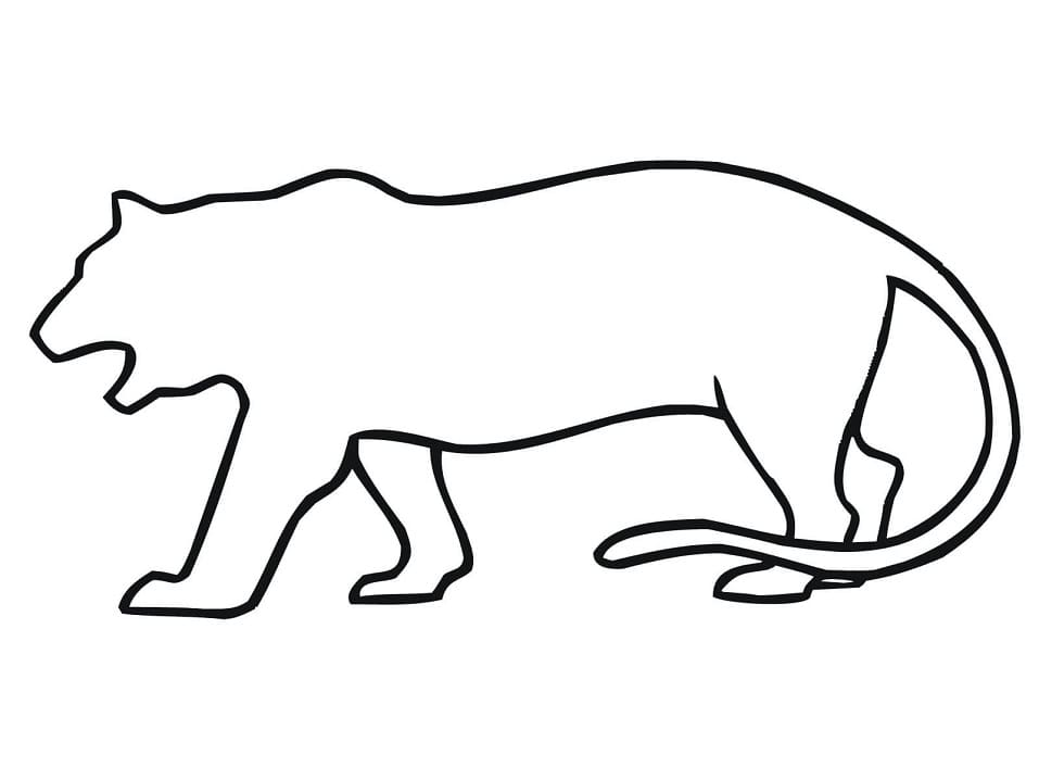Tiger Outline