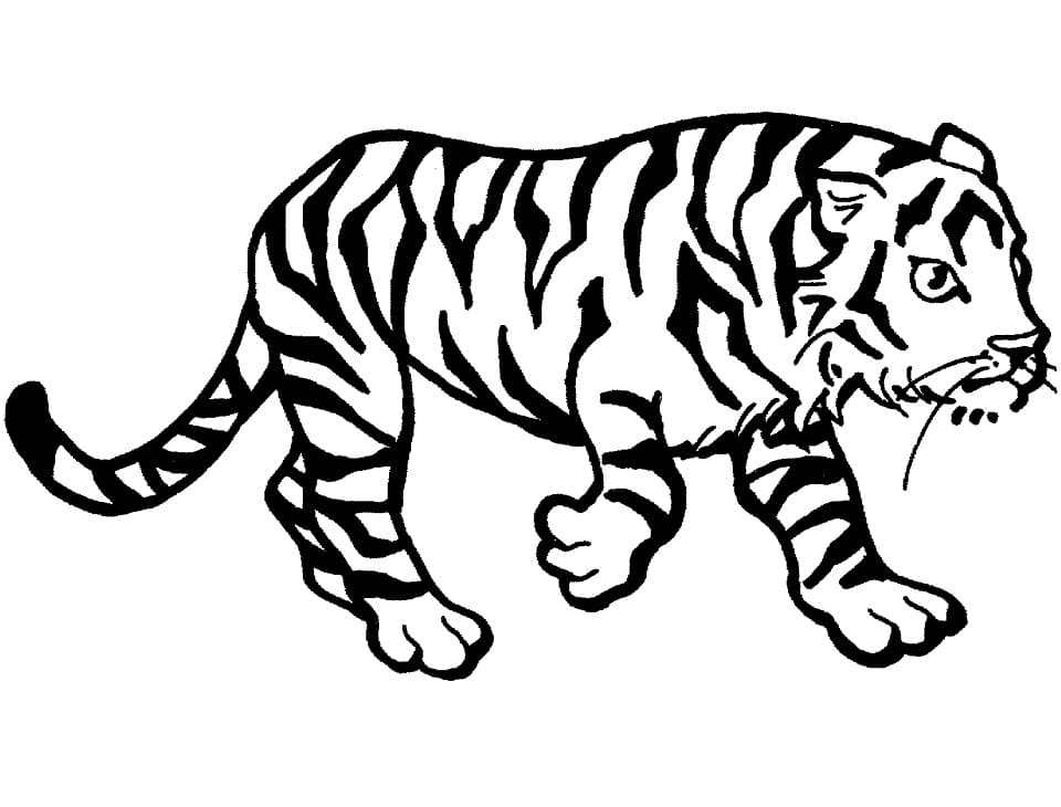 Tiger