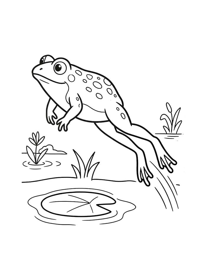 Toad Easy