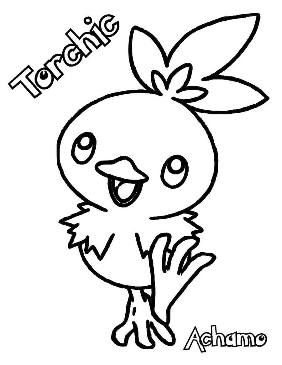 Torchic Achamo