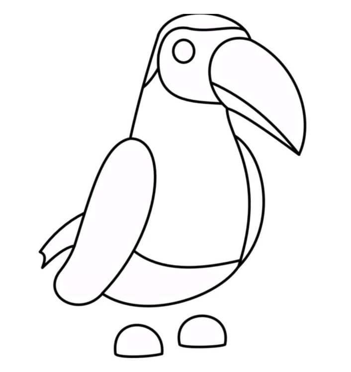 Toucan Adopt Me