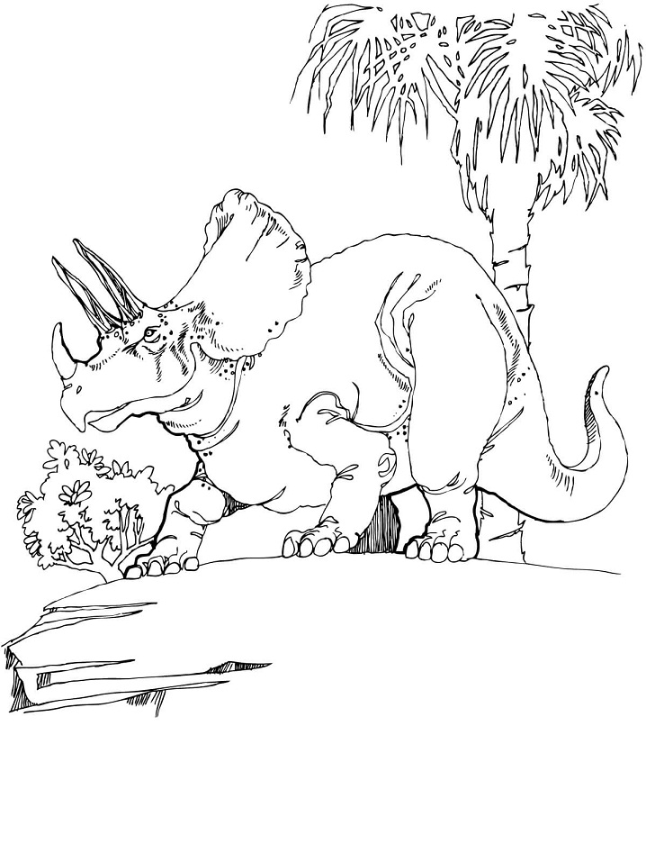 Triceratops