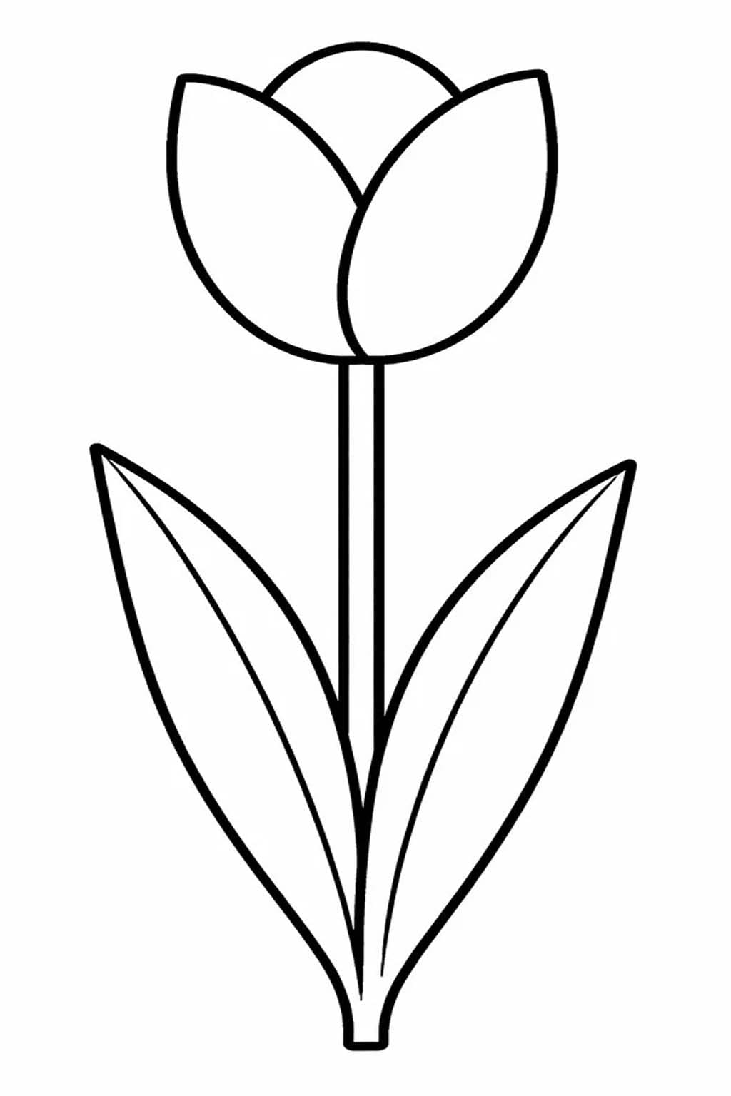 Tulip Basic