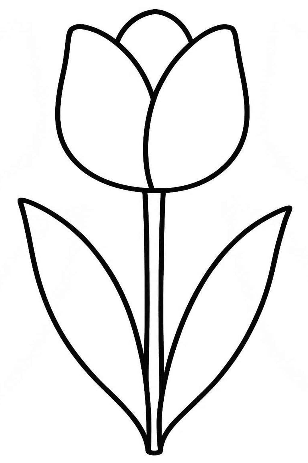 Tulip Free