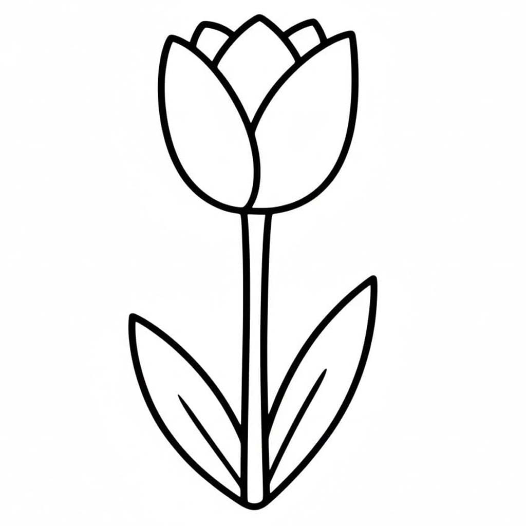 Tulip Simple