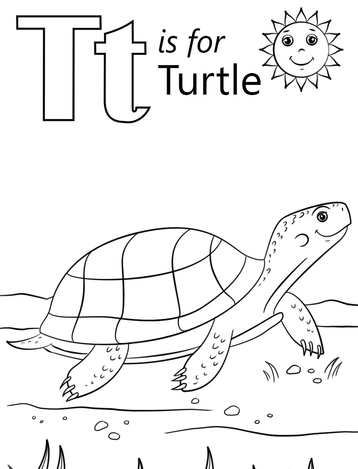 Turtle Letter T