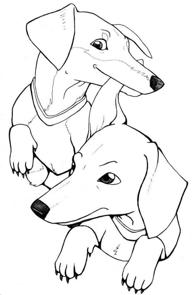 Two Dachshund Coloring Game Two Dachshund