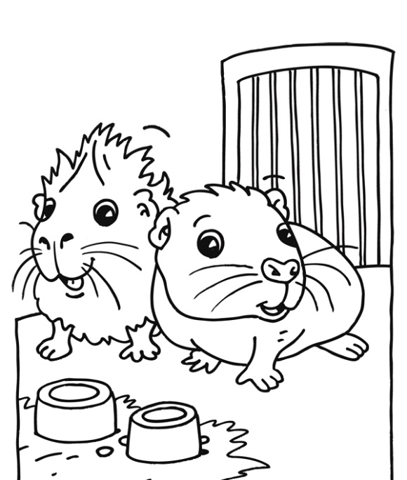 Two Guinea Pigs Coloring Game Two Guinea Pigs