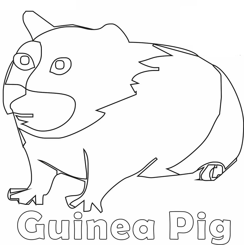 Ugly Guinea Pig Coloring Game Ugly Guinea Pig