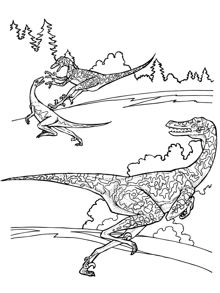 Velociraptor Dinosaurs