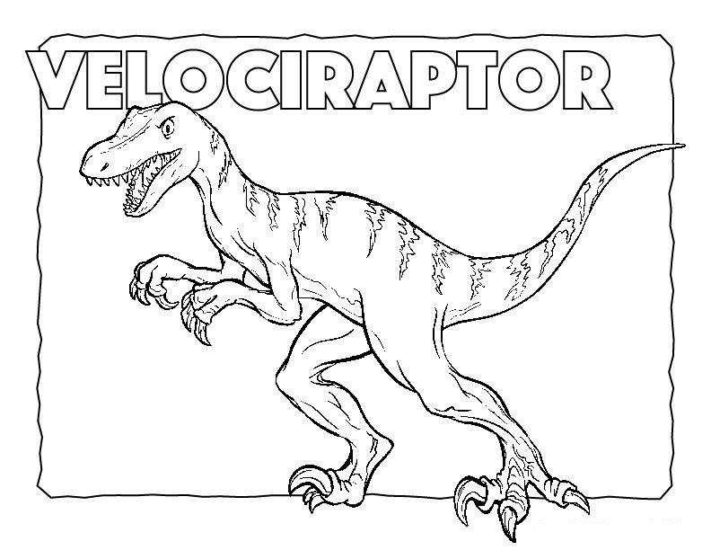 Velociraptor 8