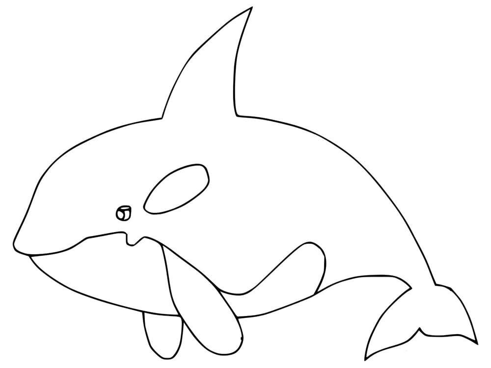 Very Easy Killer Whale