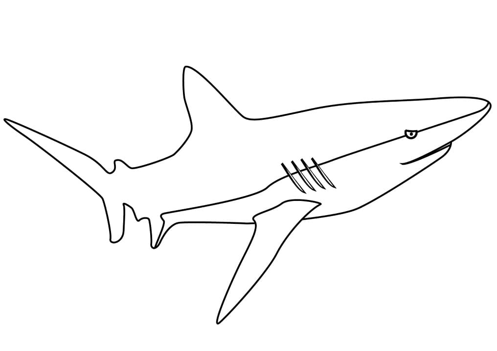 Mako Shark Coloring - Play Free Coloring Game Online