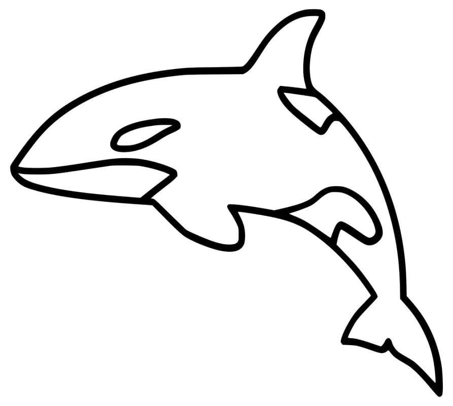 Very Simple Killer Whale