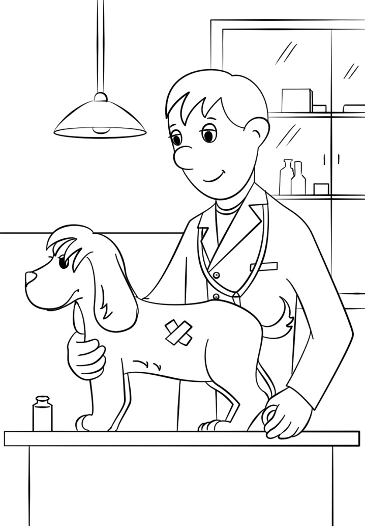 Veterinarian