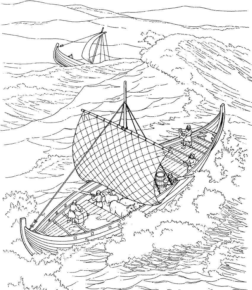Viking Boats