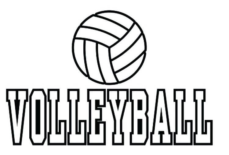 Volleyball 3