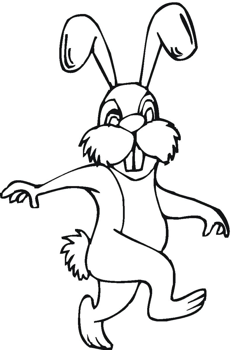 Walking Rabbit Coloring Game Walking Rabbit