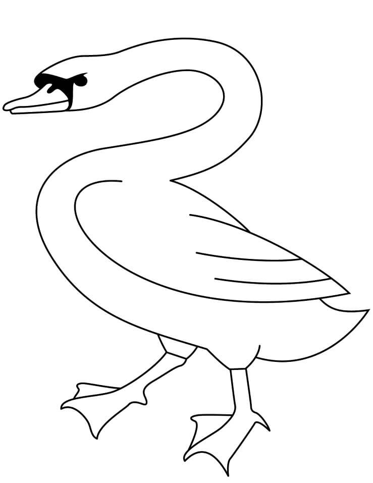 Walking Swan Coloring Game Walking Swan