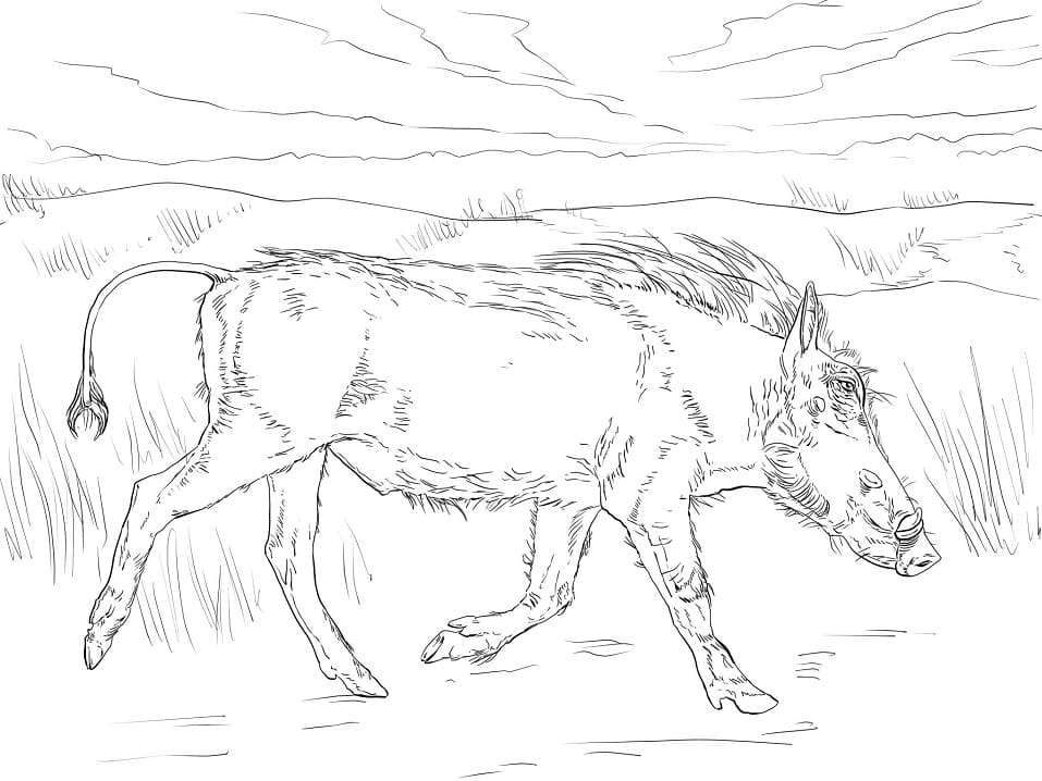 Walking Warthog