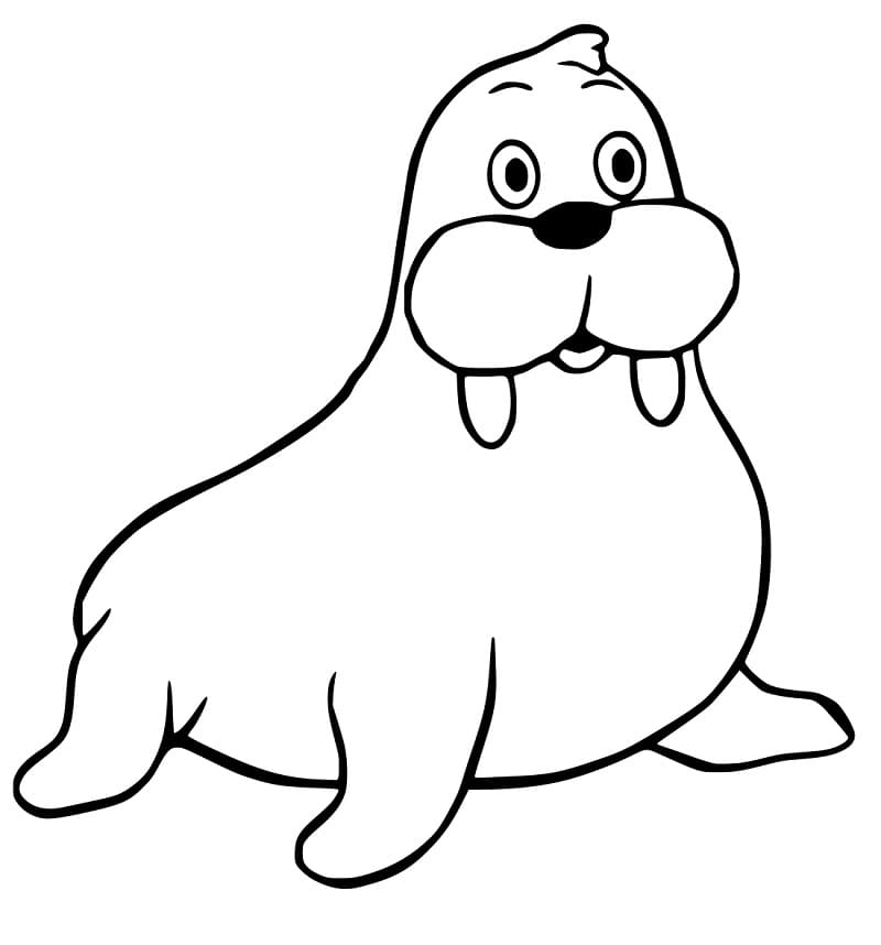 Walrus 3
